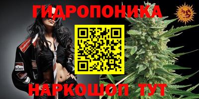 каннабис Будённовск