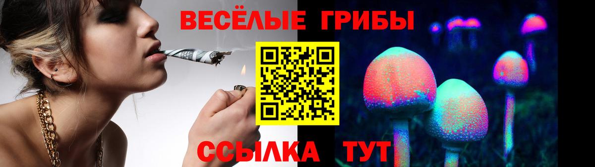 Солнечногорск  Галлюциногенные грибы мухоморы  Галлюциногенные грибы мицелий  Вход с VPN 